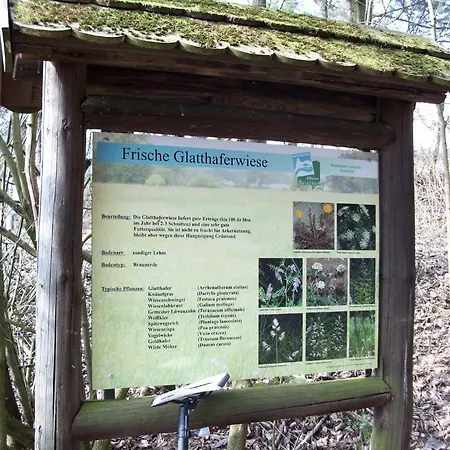 Feriehus Blockhaus Hedwig Stamsried
