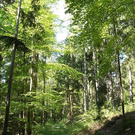 Blockhaus Hedwig Feriehus