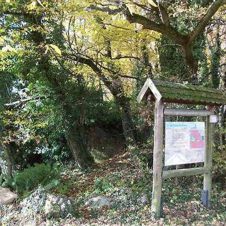 Blockhaus Hedwig *
