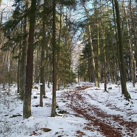 Blockhaus Hedwig Stamsried