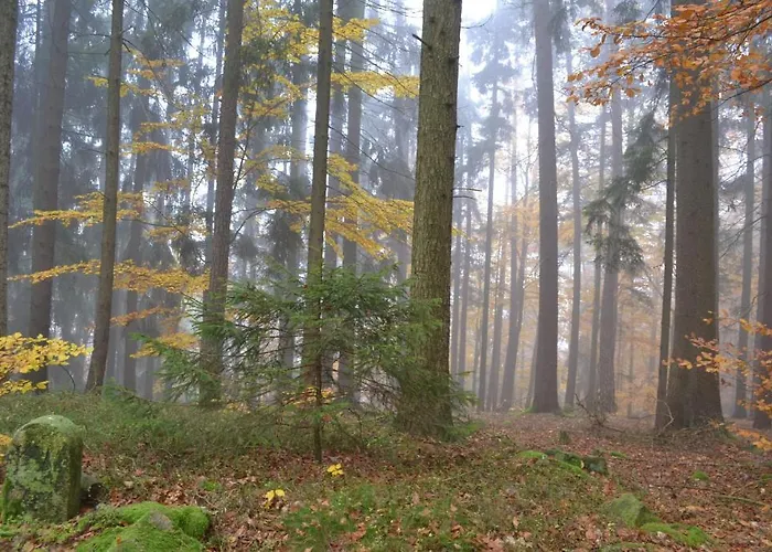 Blockhaus Hedwig Stamsried